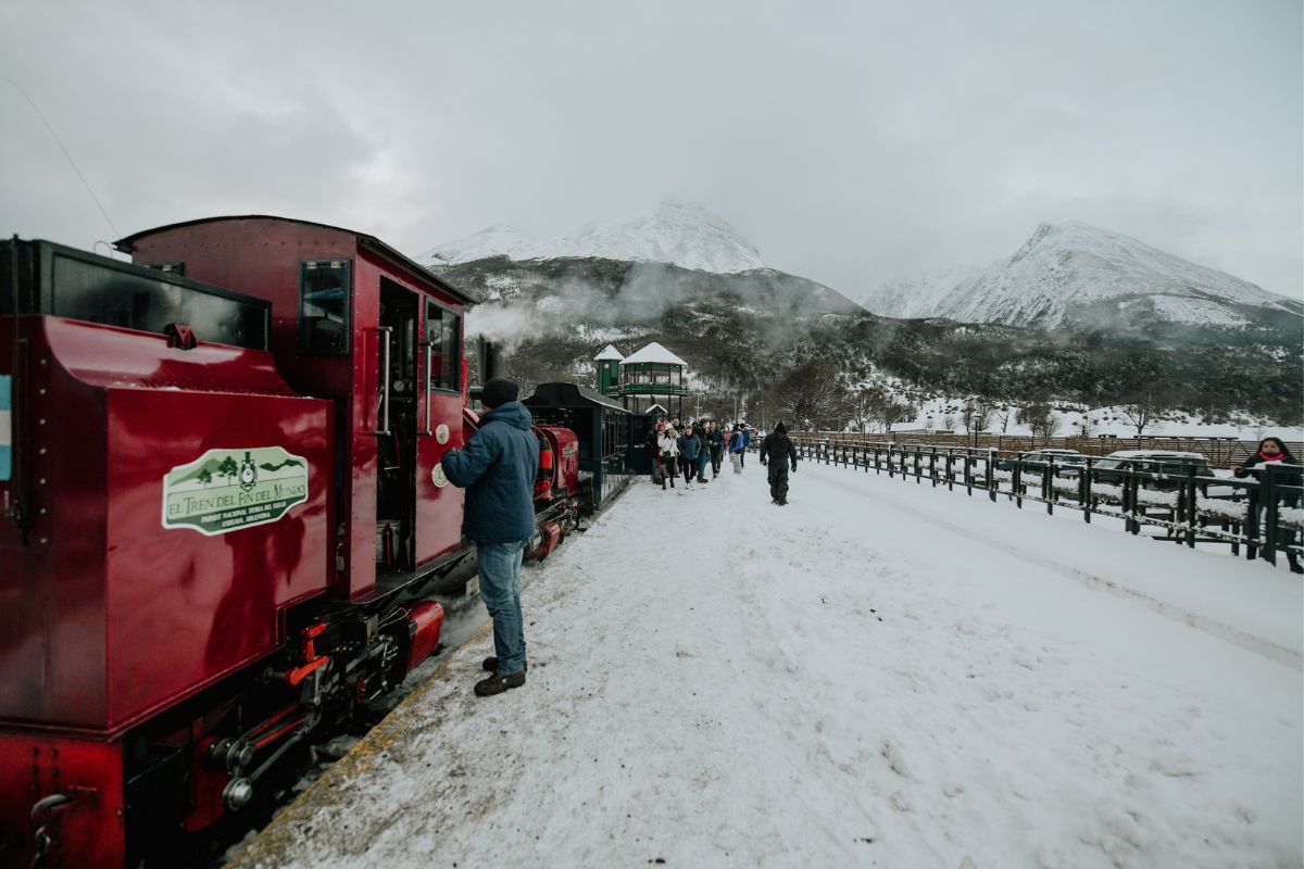 tren invierno - terramar
